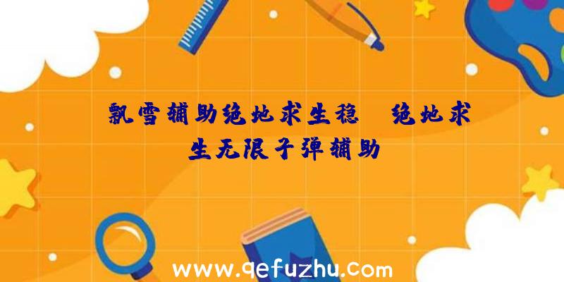 「飘雪辅助绝地求生稳」|绝地求生无限子弹辅助